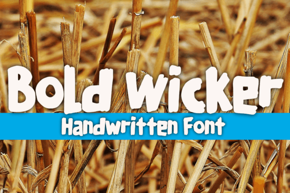 Bold Wicker: A Playful Display Font That Anchors Digital Branding