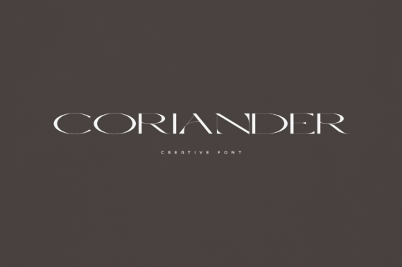 Coriander Font in Branding: A Designer’s Real Project Story