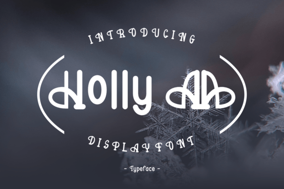 Holly Aa: A Charming Display Font for Business Branding