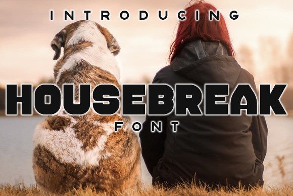 Housebreak: A Display Font That Makes Your Brand Feel Instantly Alive